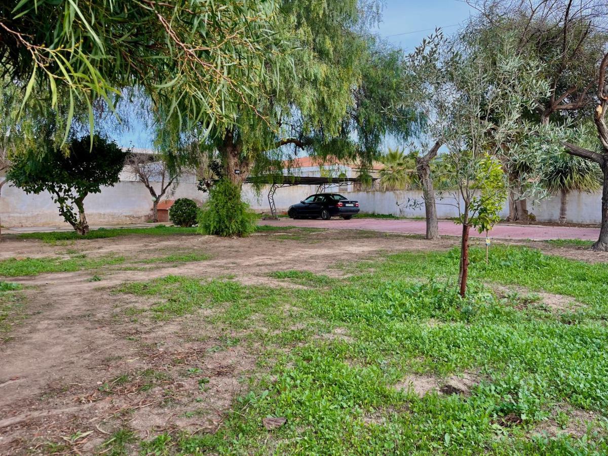 Estudio Adosado Acogedor Con Jardin, Barbacoa Y Parking Privado 알리칸테 외부 사진